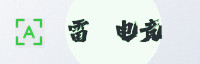 Partner